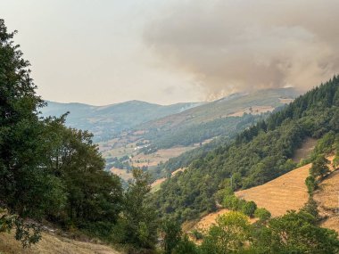 İspanya 'nın Asturias kentindeki Leitariegos Vadisi, Ağustos 2025 orman yangınlarının dumanıyla kirlenmiş.