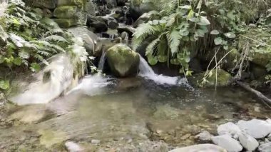 Leitariegos geçidi, Asturias 'ta, güneşli dağlarla kaplı sisle kaplıydı.