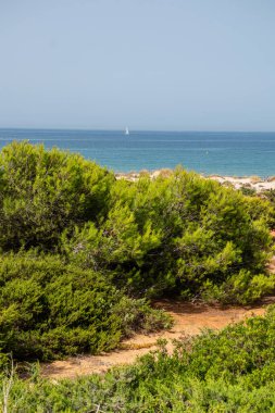 Sancti Petri, Cadiz, İspanya 'daki La Barrosa plajına erişim sağlayan kum tepeleri.