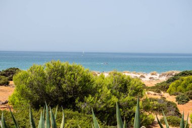 Sancti Petri, Cadiz, İspanya 'daki La Barrosa plajına erişim sağlayan kum tepeleri.