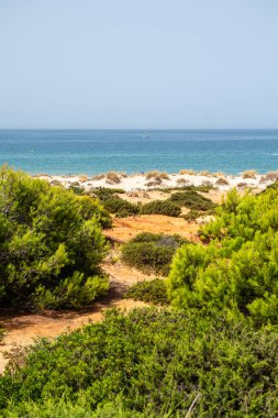 Sancti Petri, Cadiz, İspanya 'daki La Barrosa plajına erişim sağlayan kum tepeleri.