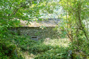 İspanya 'nın Asturias kentindeki Leitareigos Vadisi' ndeki Arbas Köyü.