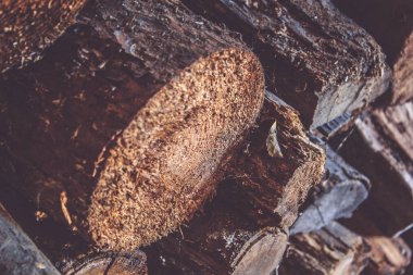 Kış için yakacak odun hazırlanması. Yakacak odun arka plan, ormanda odun yığınları kapatın.