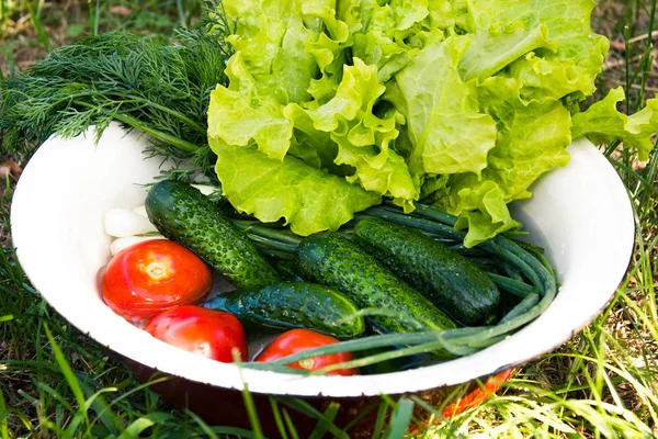 Verduras frescas en un tazón — Foto de Stock