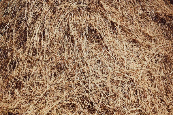 straw, dry straw texture background, vintage style for design.