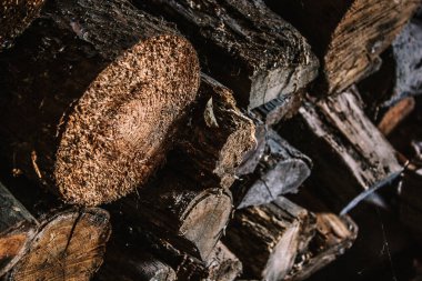 Kış için yakacak odun hazırlıyorum. Yakacak odun geçmişi, ormanda yakacak odun yığınları. Yakacak odun yığını.