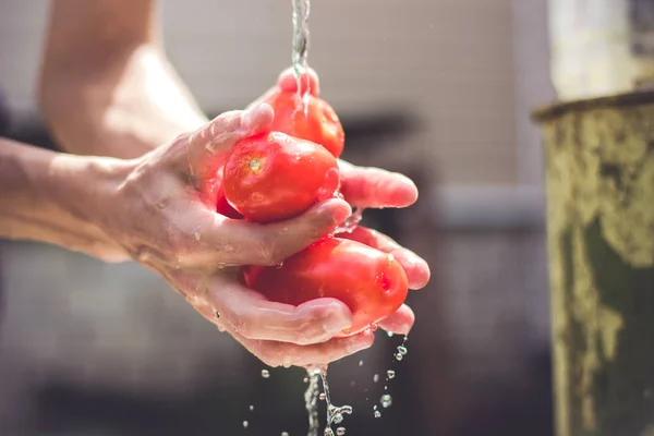 Man wash tomatos under splash of fresh water in sunny day