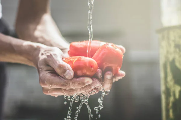 Hombre lavar los tomates bajo salpicadura de agua dulce en el día soleado — Foto de Stock