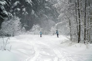 kayakçı karlı ormanda