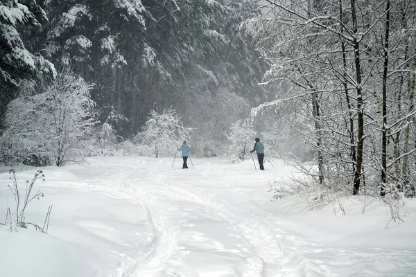 kayakçı karlı ormanda