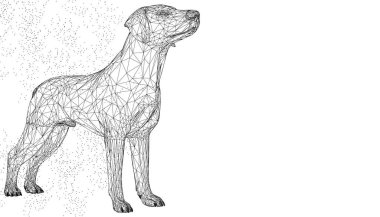 Köpek sevimli 3d vektör çizim hayvan. Soyut wirframe Çokgen üçgen geometrik arka plan. Düşük poli mavi hat kafes fütüristik şekli. Uzay nokta yaratıcı kavramı kroki. Komik köpek.
