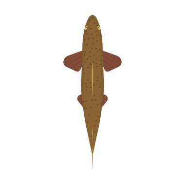 Yukarıdaki alabalık balıkları yemek hayvan işareti vektör simgesini görüntüleyin. Su deniz fo