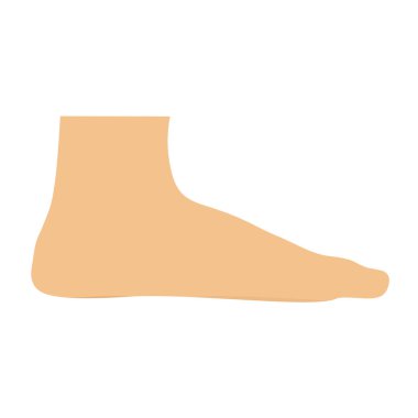 İnsan ayak kişi vektör simgesi illüstrasyon. Bacak adım izi 