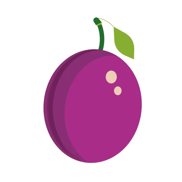 Ciruela púrpura sana planta madura de verano. Verde sabroso dieta vector i — Vector de stock