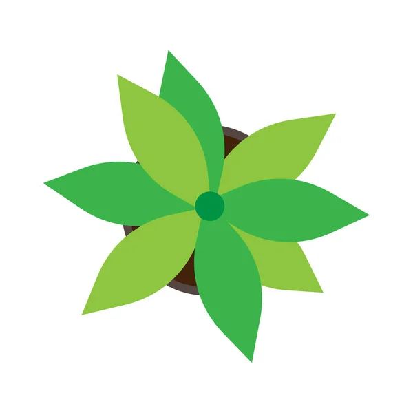 Blumentopf isolierter weißer Draufsicht-Vektor. grüne Zimmerpflanze — Stockvektor