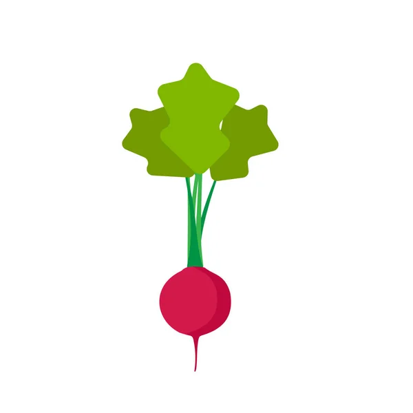 Rábano rojo vista superior icono de vector. Símbolo natural vegetariano ágico — Vector de stock
