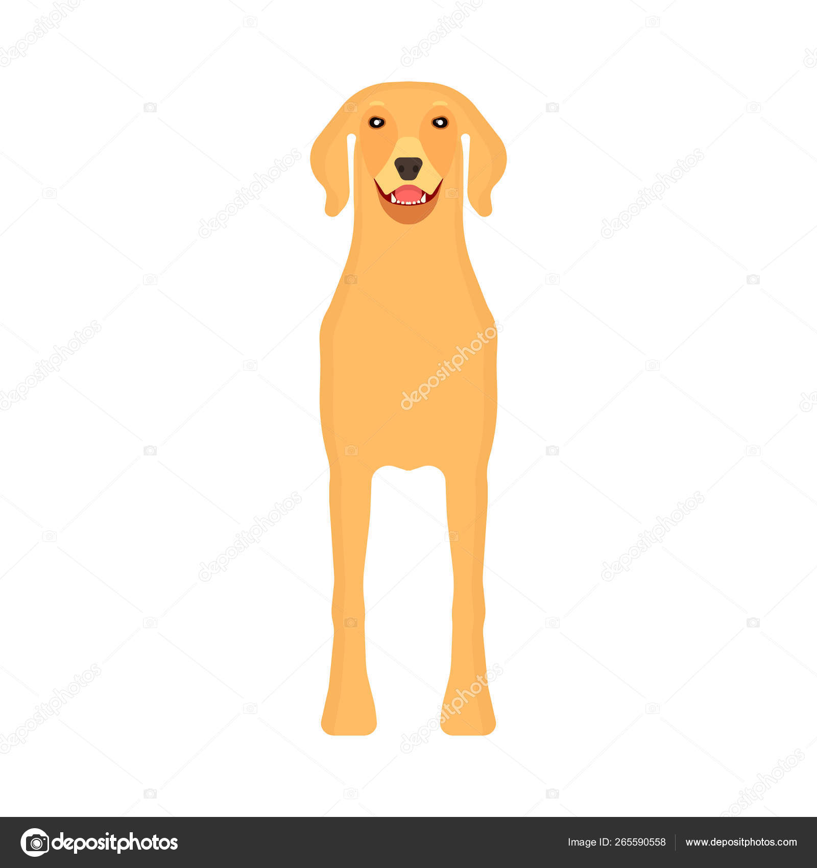 Dog Labrador Animal Pet Vector Icon Front View Isolated Puppy Cute Cartoon Happy Friend Brown Standing Canine Silhouette Stock Vector C Dihard909 Gmail Com 265590558
