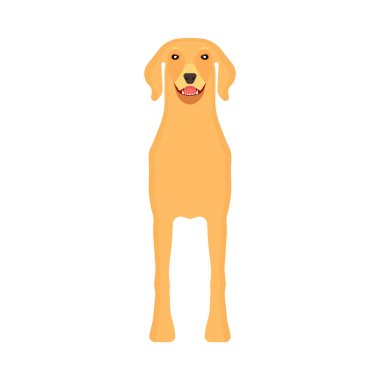 Köpek labrador hayvan hayvan vektör simgesi ön görünüm. İzole köpek sevimli karikatür mutlu arkadaş. Kahverengi ayakta kan silueti