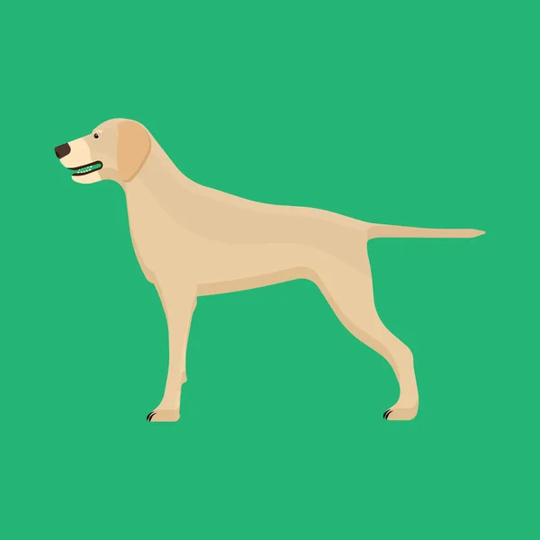Köpek labrador hayvan hayvan vektör simgesi yan görünüm. İzole köpek yavrusu — Stok Vektör