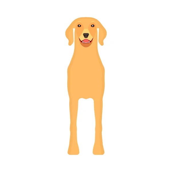 Köpek labrador hayvan hayvan vektör simgesi ön görünüm. İzole köpek sevimli karikatür mutlu arkadaş. Kahverengi ayakta kan silueti — Stok Vektör