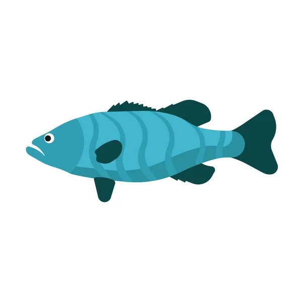 Ψάρια Side εικόνα διάνυσμα όψη του θαλάσσιου ζώου. Υποβρύχια ζωή στον ωκεανό. Μπλε άγριας πανίδας επίπεδη εξωτικό σύμβολο — Διανυσματικό Αρχείο