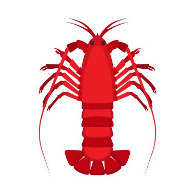 Istakoz hayvanı üst görünüm vektör düz simgesi. Deniz ürünleri denizi kızıl izole edilmiş.