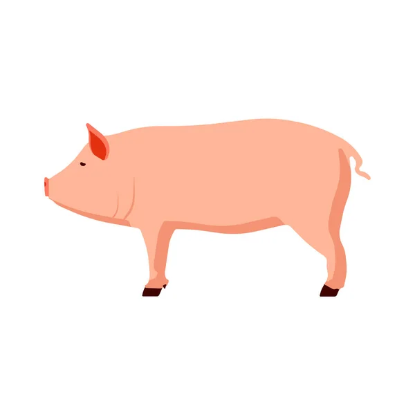 Animal pink pig vector illustration side view cartoon design. Cute art farm piglet graphic sign. Piggy hog domestic mammal element. Mascot silhouette swine drawing pet meat bacon. Livestock concept