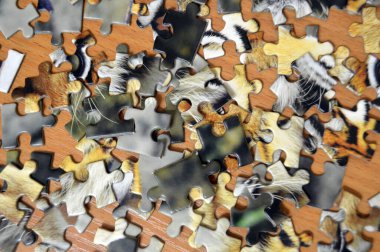 Parçalanmış bulmaca konsepti problem oyun stratejisi yap-bozu. Eksik uygun parça eğlence bağlantısını kur