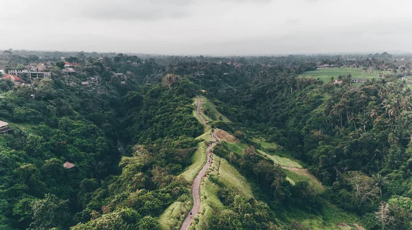 Campuhan Ridge yürüyüş. Bali (Ubud)