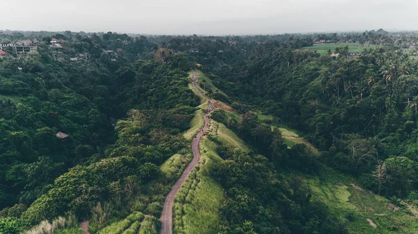 Campuhan Ridge yürüyüş. Bali (Ubud)