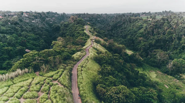 Campuhan Ridge yürüyüş. Bali (Ubud)