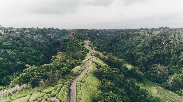Campuhan Ridge yürüyüş. Bali (Ubud)