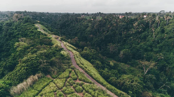 Campuhan Ridge yürüyüş. Bali (Ubud)