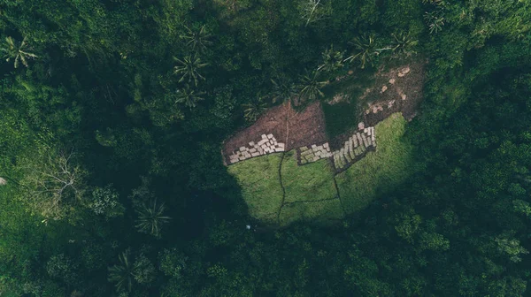 Campuhan Ridge yürüyüş. Bali (Ubud)