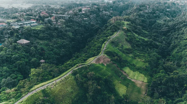 Campuhan Ridge yürüyüş. Bali (Ubud)