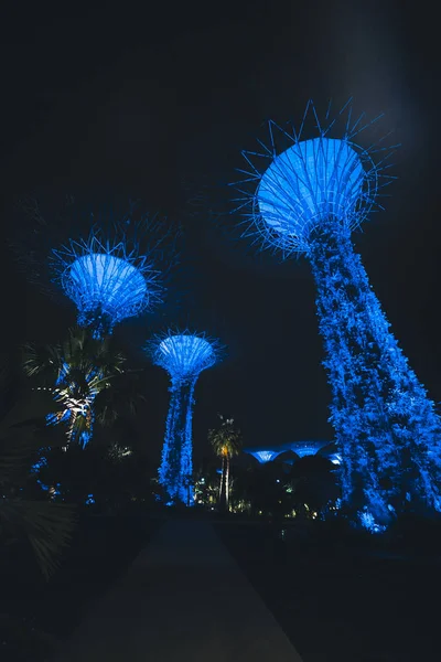 Singapur Körfezi 'ndeki Bahçeler