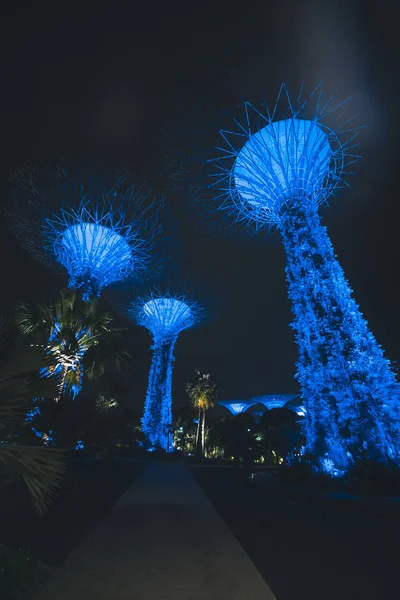 Singapur Körfezi 'ndeki Bahçeler