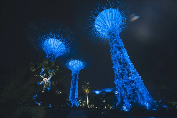 Singapur Körfezi 'ndeki Bahçeler