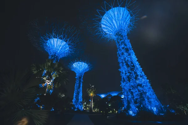 Singapur Körfezi 'ndeki Bahçeler