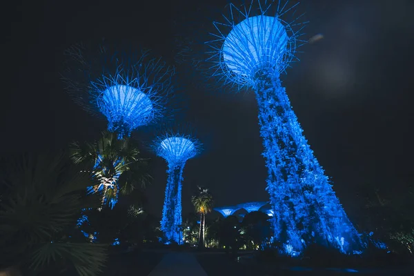 Singapur Körfezi 'ndeki Bahçeler
