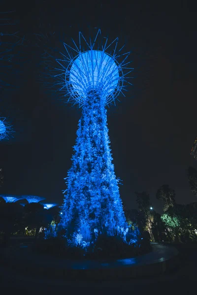 Trädgårdar Vid Bukten Singapore — Stockfoto