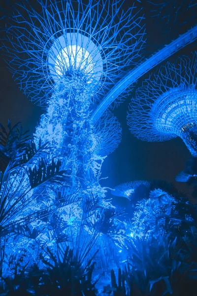 Singapur Körfezi 'ndeki Bahçeler
