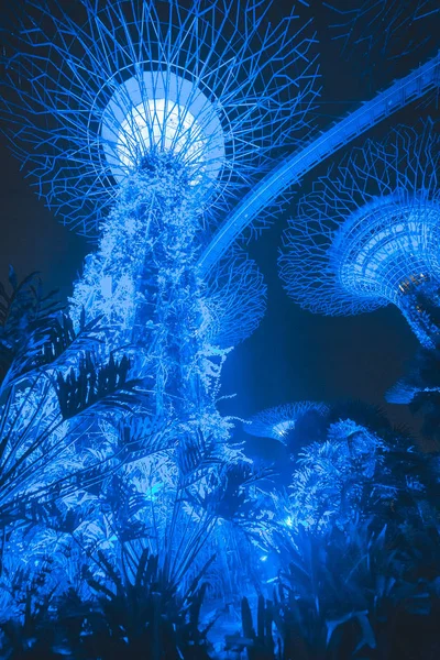 Singapur Körfezi 'ndeki Bahçeler