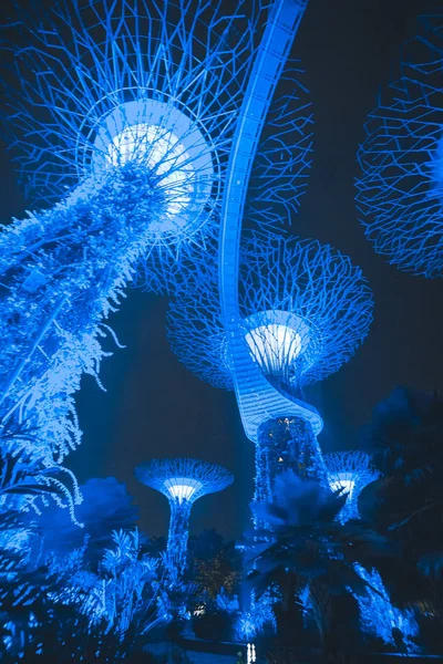 Singapur Körfezi 'ndeki Bahçeler