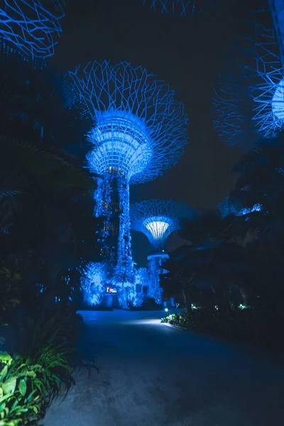 Singapur Körfezi 'ndeki Bahçeler