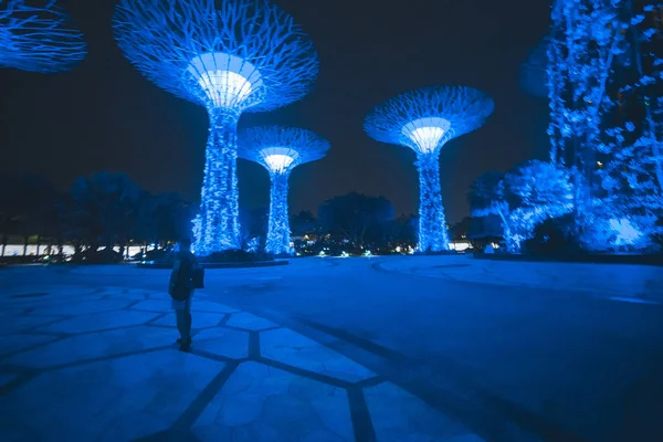 Singapur Körfezi 'ndeki Bahçeler