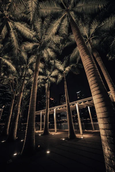 Singapur alışveriş merkezi avuç içi. Gece