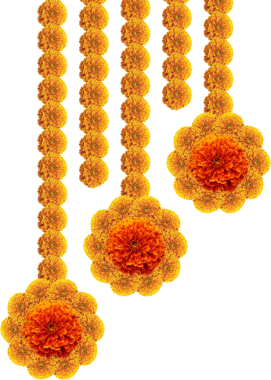 Festival vesilesi için kadife çiçeği dekoratif asma unsuru