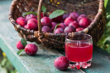 Bir bardak berry içki ve rustik ahşap masa arka plan üzerinde yaprakları ile taze erik. Sonbaharda hasat kavramı. Doğal meyve kompostosu.