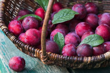 Taze erik yapraklarda rustik ahşap masa arka plan ile. Sonbaharda hasat kavramı